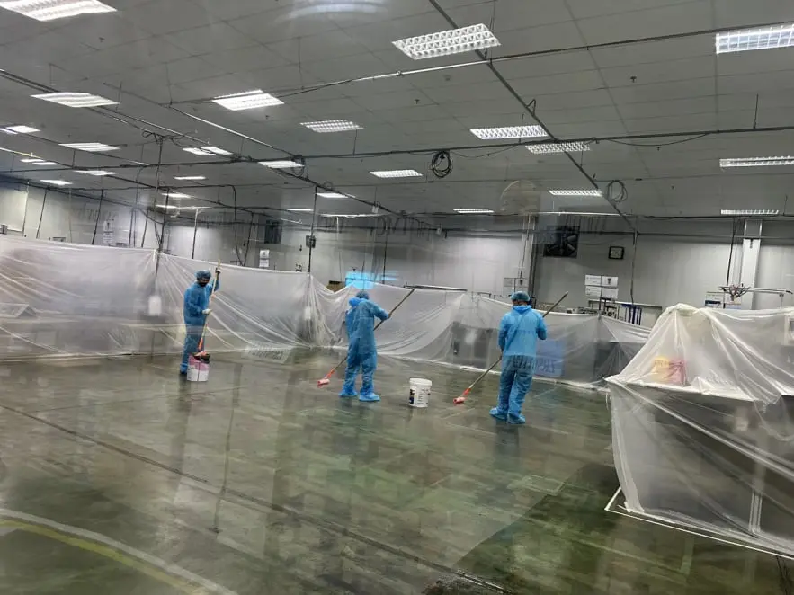 東洋扶桑